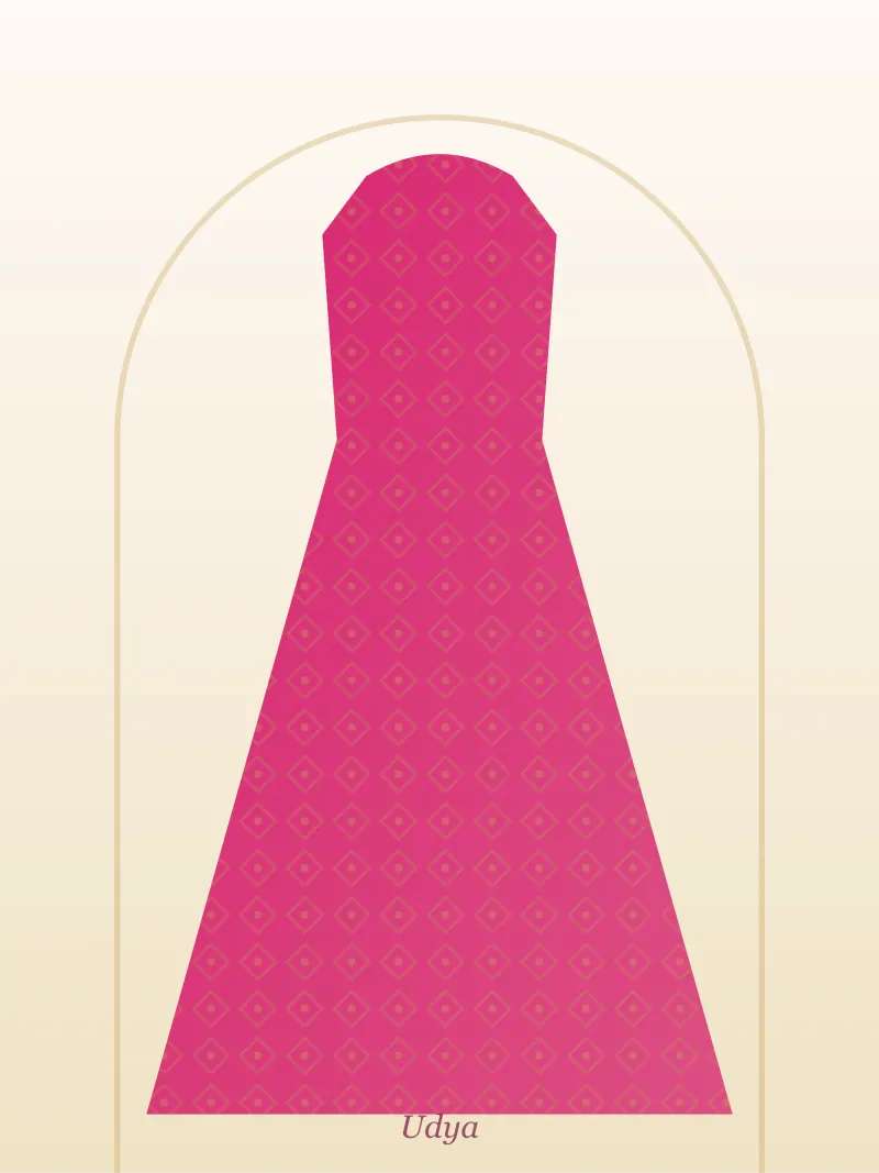 Rani Pink Net Party Gown